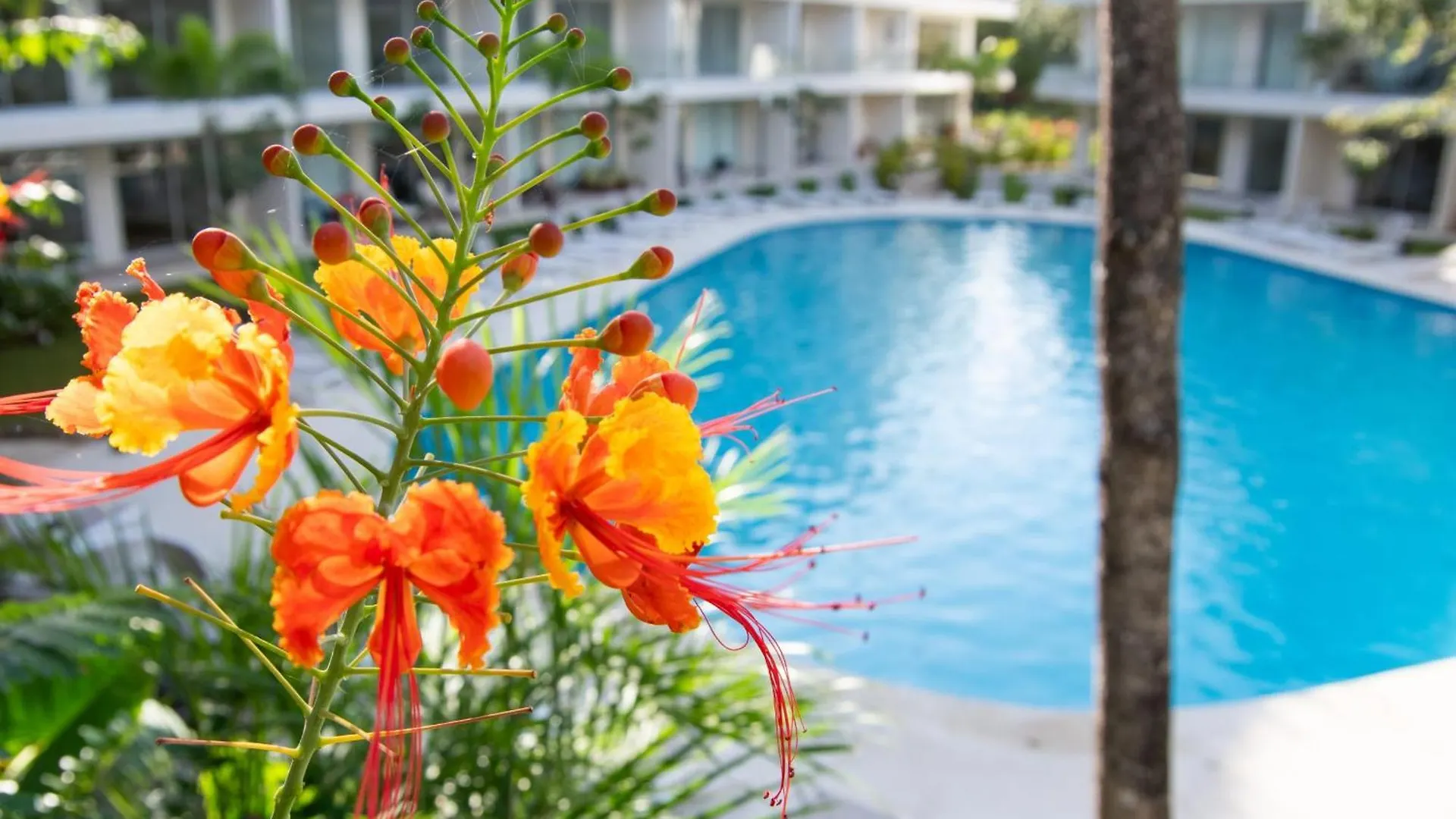 Condo Mareva The Leaf, Luxury Retreat Playa del Carmen